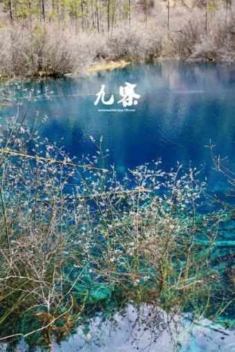 小腰带